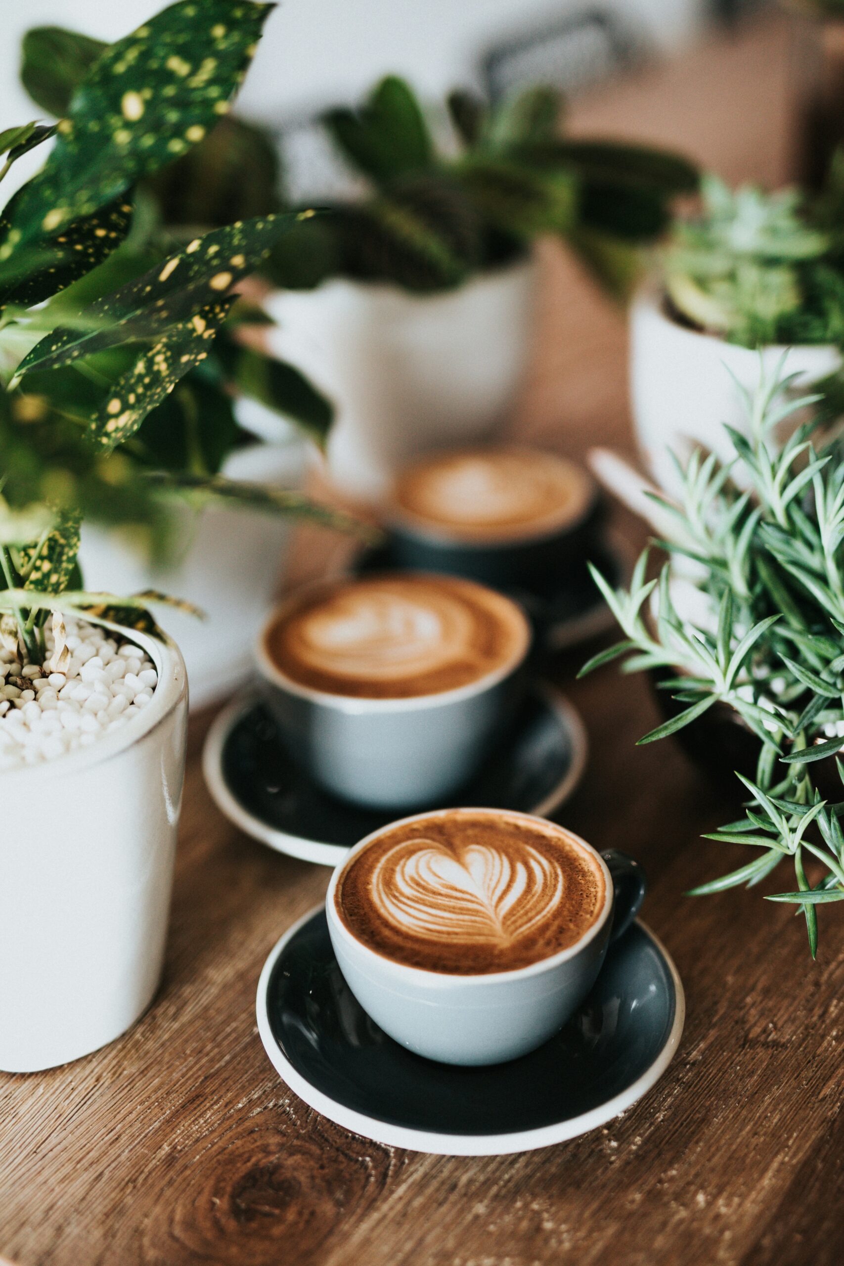 Photo réalisée par Nathan Dumlao, représentant deux cafés avec du latte art